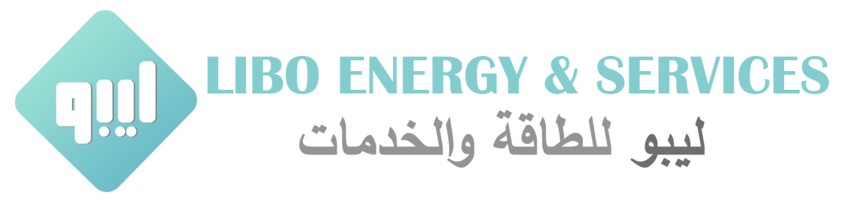 LIBO ENERGY & SERVICES